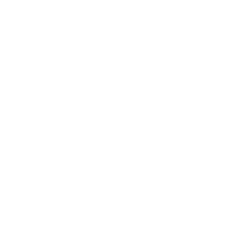 Pro Trek