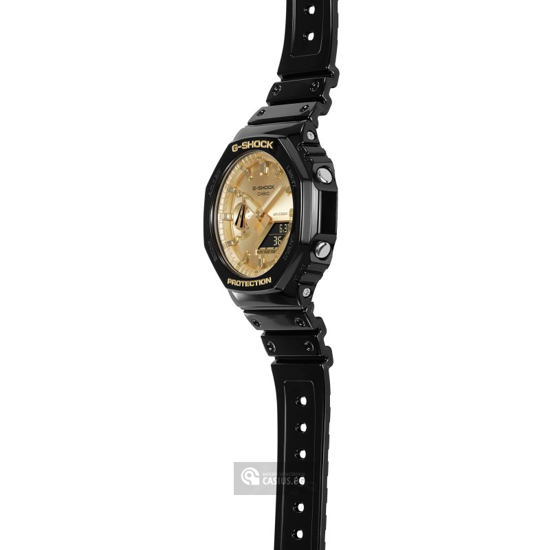 GA-2100GB-1AER GA-2100GB-1AER